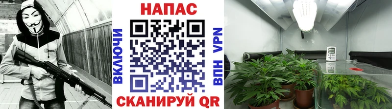 Наркотические вещества Темрюк мега рабочий сайт Alpha-PVP Амфетамин Меф Cocaine Гашиш Марихуана