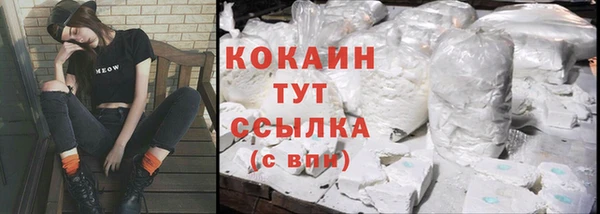 apvp Пересвет