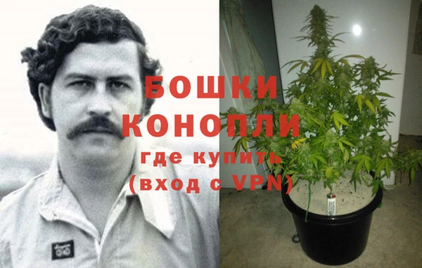 спиды Пестово