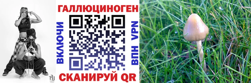 Галлюциногенные грибы MAGIC MUSHROOMS  Темрюк 